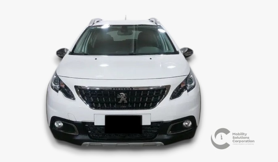 Auto 1
